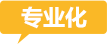 专业化 专业化